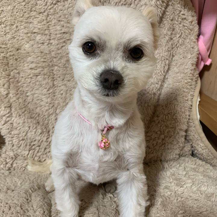 630b9c83 7b39 4aed 8a1a 4d0007b3ea74 1577778025753