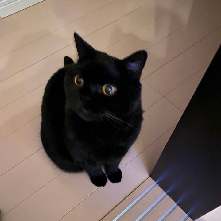 630bb024 b5f0 4b04 a2d2 93e68ecee1b6 1762868985073