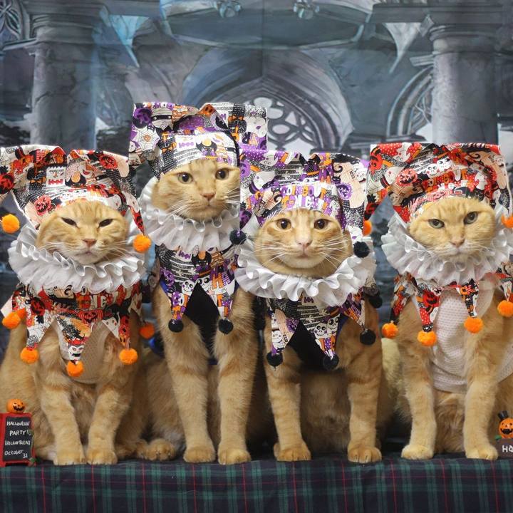 630bc987 59d0 4d9d b586 572cee0806d4 1698404178233