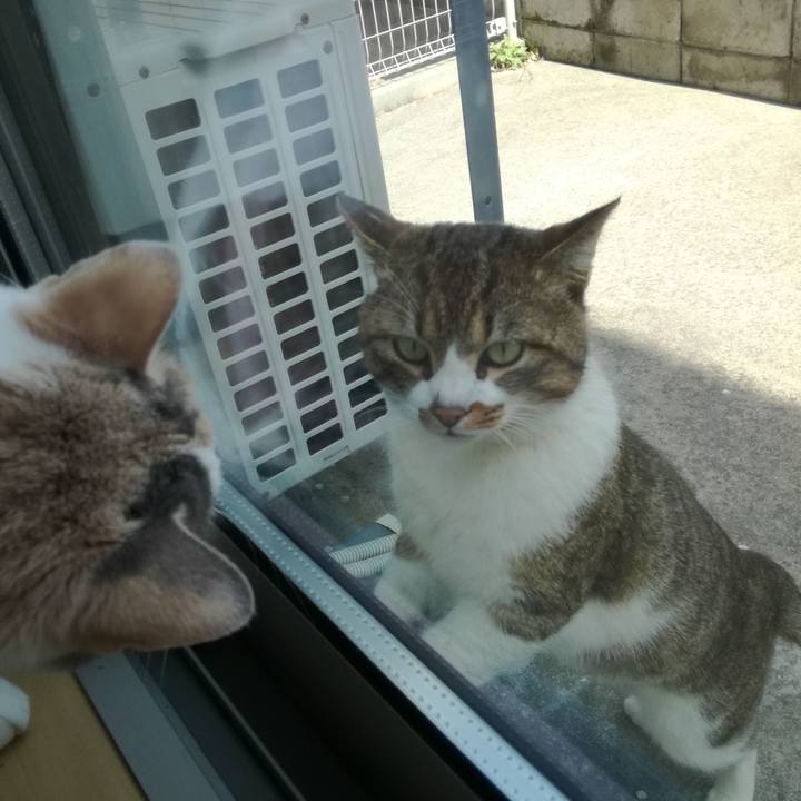 630bedd2 78c0 41b4 950e 212e9a430633 1521796511886