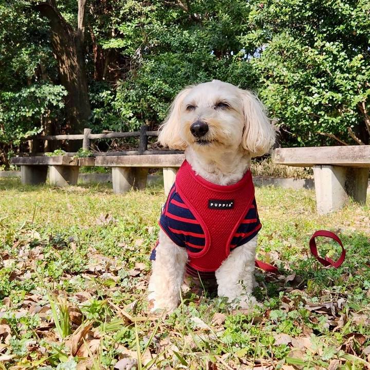 630bfcda b1d7 414c 8dad f1f090f61000 1771907872516