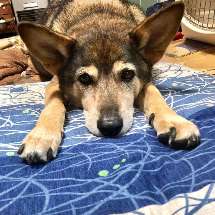 630c5fcd 0e63 4a75 9318 76f0abdfa104 1538616984702