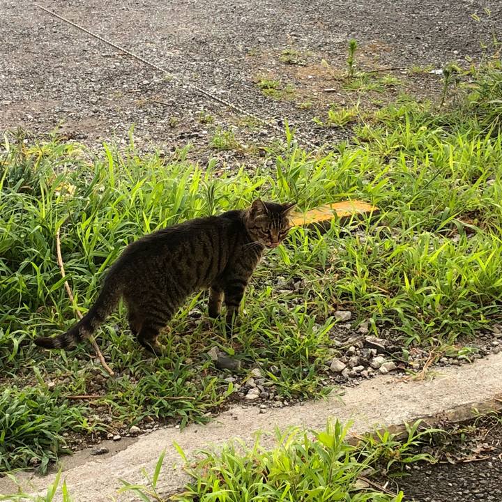 630cba7f 4d71 4879 9db4 037b0bab43b1 1531659681296