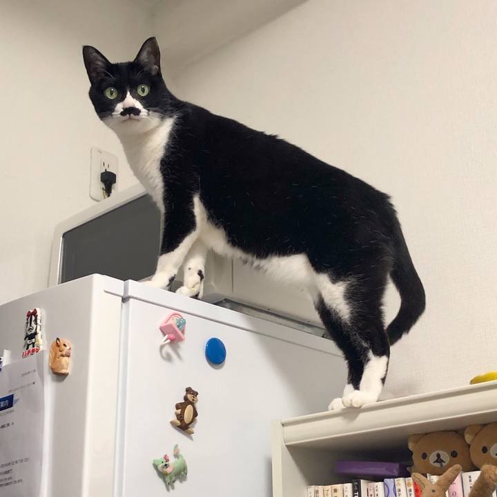 630cc09f 3f75 4f54 8ed5 7b456b85d149 1576681111624