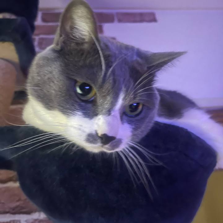 630ccd1c 4c0f 4d3d ba64 193bfa5e8897 1702595522359