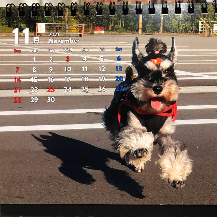 630cd75b b1f0 486c a6f5 77ce1b9a510a 1635765015944