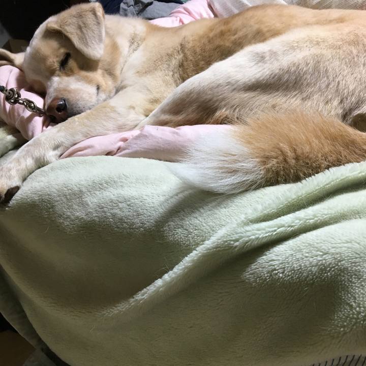 630ceaef 971c 496f a066 600fe5b05090 1514029124401