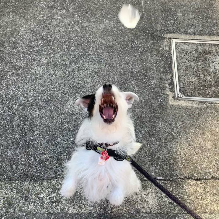 630cee58 1753 4cb2 a5f6 8b00b9eb79eb 1689979578213