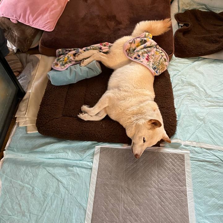 630d2166 3f9d 45cc ab94 17f35fa422d6 1637163642619