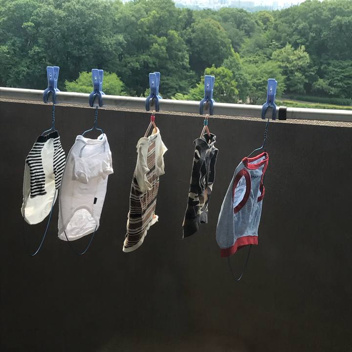 630d25d7 20ba 4621 8c9f 26046c1c2971 1525053516075