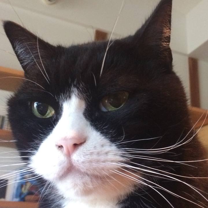 630d7461 8804 4bd5 a091 21d37073f219 1521587687500