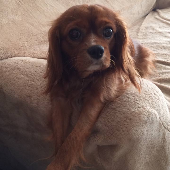 630d74ab 1b95 4116 9c7c ca0d571528cf 1515798639845