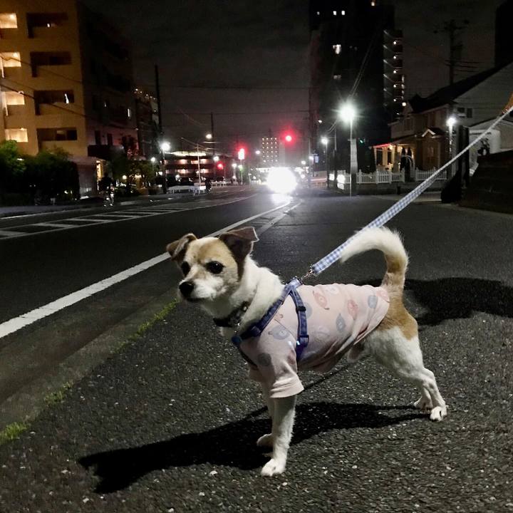 630d8776 1f17 4c06 ae5e 6161207d62fa 1651147206730