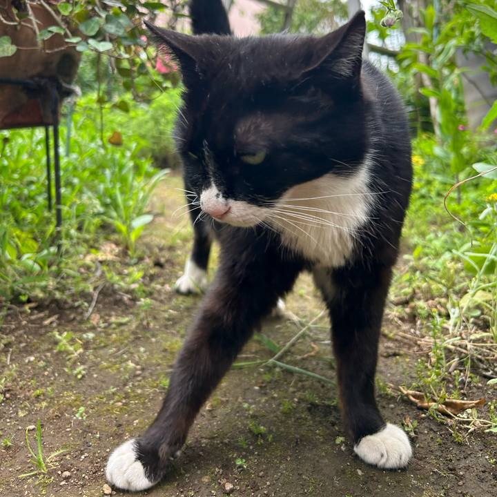 630e0103 db47 4a61 a563 65983b4d4dfa 1714132649572