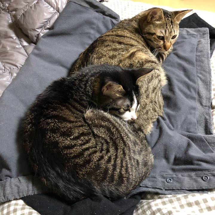 630e647a 24c7 43a6 858a 68a0ed3cc0c5 1520429155046