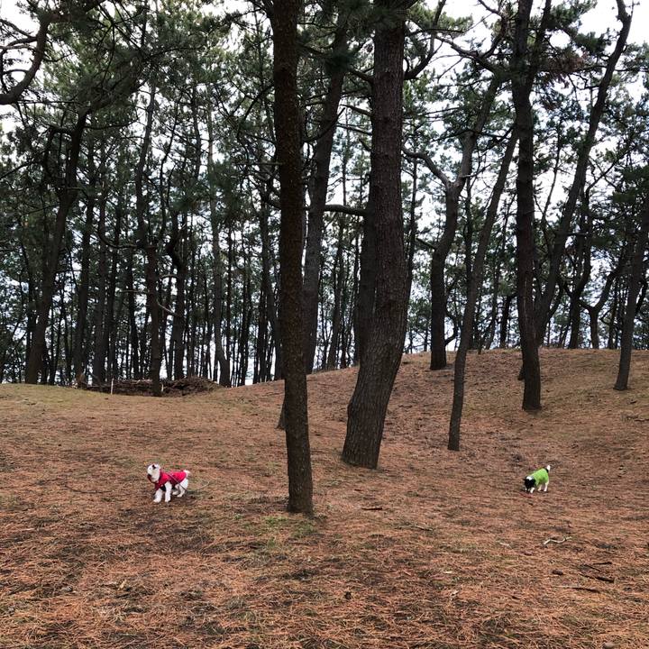 630e7f13 4a4f 4b98 b96e 415458b6f30c 1547771701193