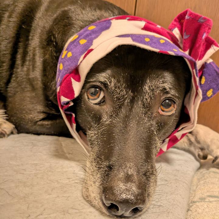 630e8eba 9057 4099 b411 73555404a09d 1753536242037