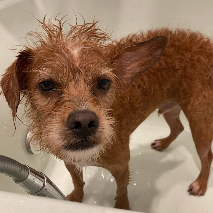 630ea175 eec6 4af5 bd21 ce0e12afd967 1633076281223