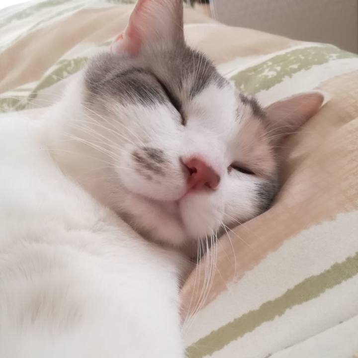 630ea813 195d 4348 8e10 8ae50b432a7d 1522837167446