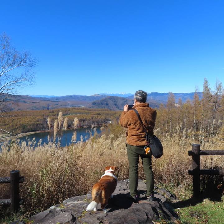 630f111a 92a0 4f03 870d 9d88f8dadc0b 1731369807626