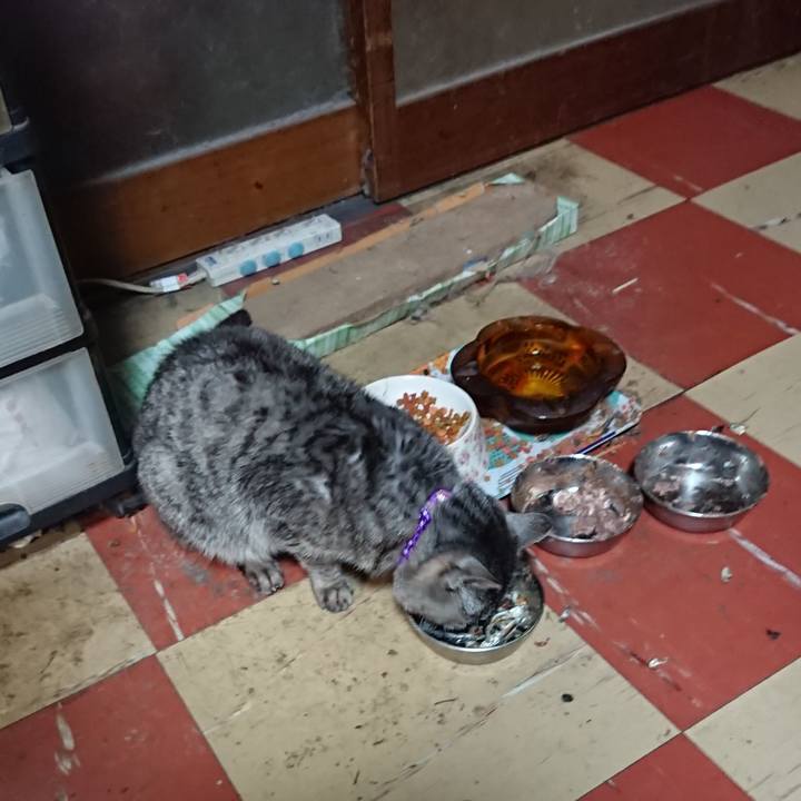 630f3880 9a5f 451e a55e f0bccf1973f2 1580162446161