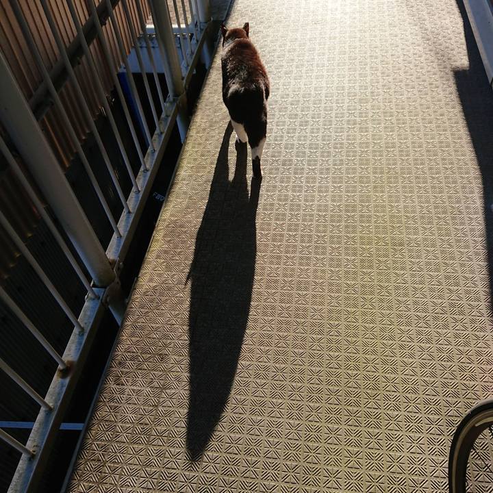 630f777a a0e6 4419 ac02 a8b98785b199 1632090822036