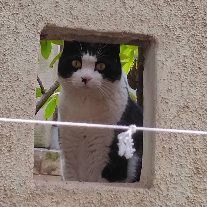 630fdea6 eb40 407b 91bd 6cf704dedb15 1708417472226