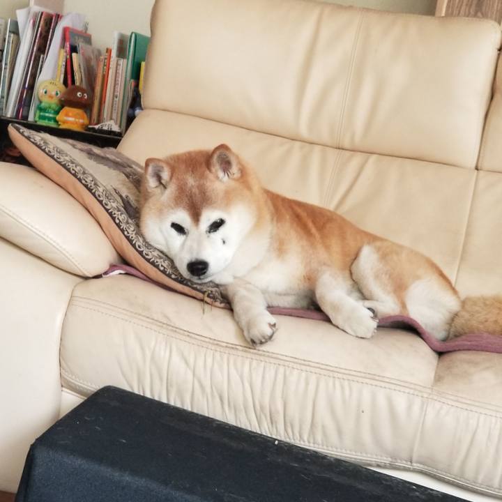 630fe462 405c 4418 ae54 3d7cad2c9559 1749258654852