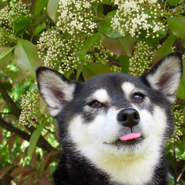 630ff626 7195 4abe a105 593bcd663c08 1558739589171