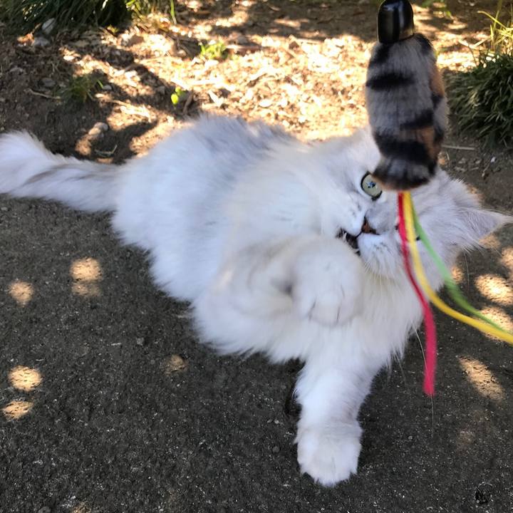 6310181f 6870 46a4 820b e4acfe659bc8 1534851207956