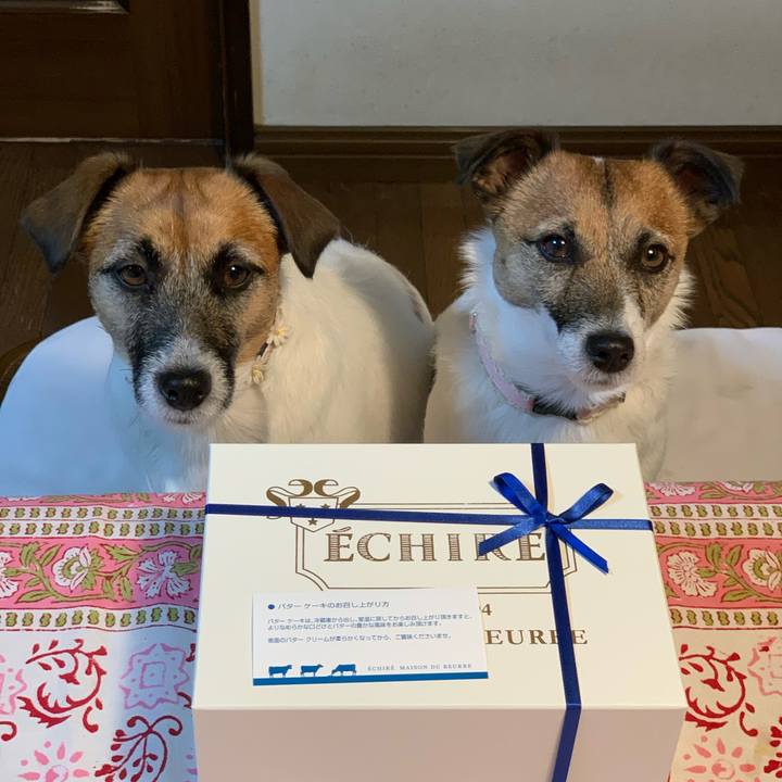 63101cdd 550a 4caa 96a7 2e43991a3932 1578574536824