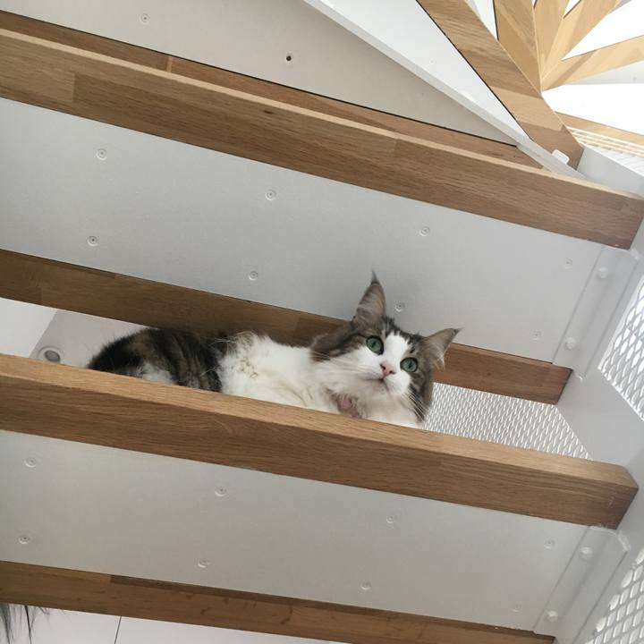 63102e92 9892 43e8 a225 ee9ab7d6babf 1537518669952