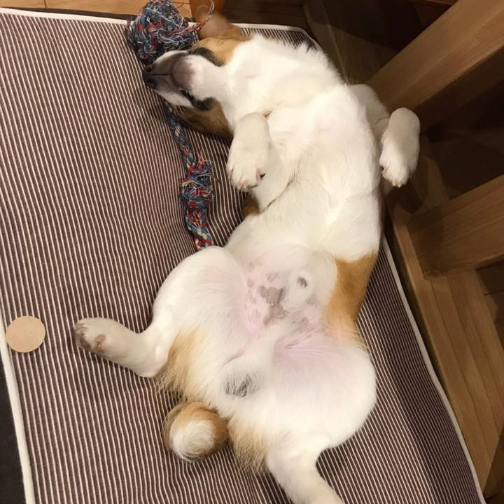 63103d4f d681 4035 9ee2 01f649912fcd 1587003416953