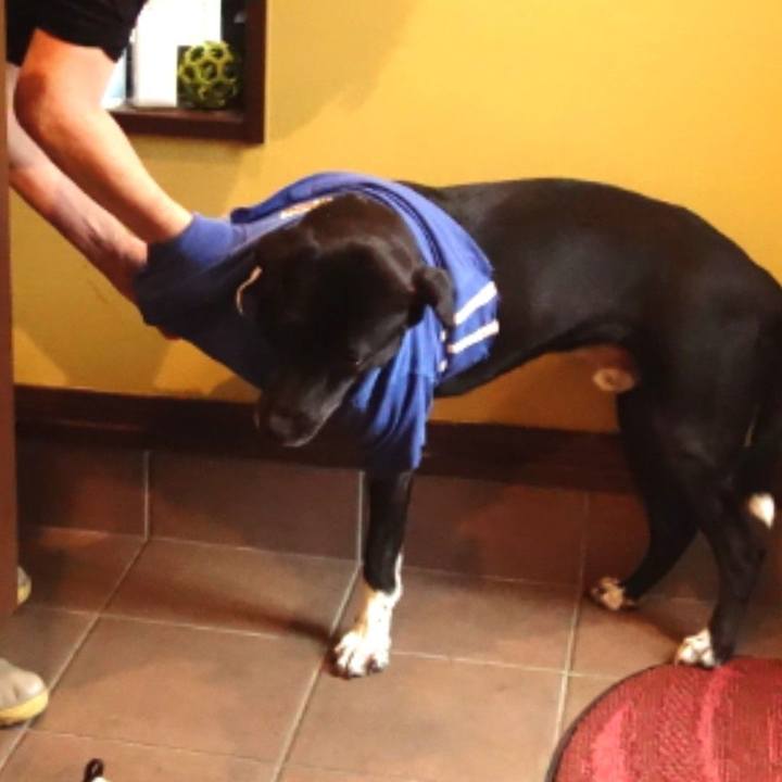 63106a91 86cf 4c8a b9d4 6dfea15a20e6 1623630492081