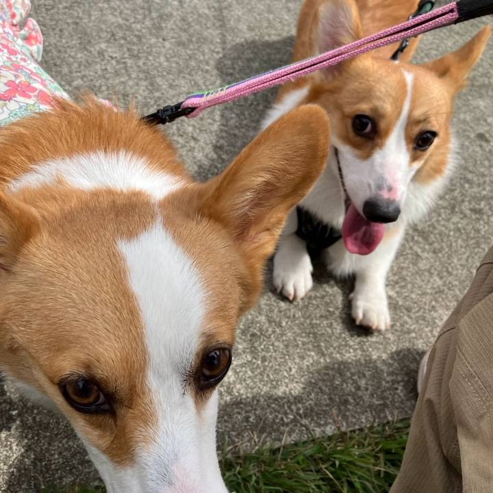 631089de a346 40c3 96fc 8997ea9eb555 1760343143041