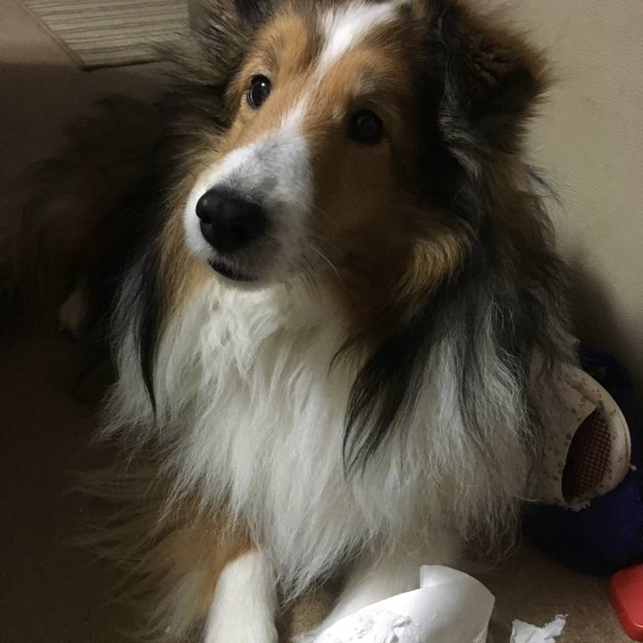 6310a42f fb7c 48ef b060 7855d4badc31 1738330990313