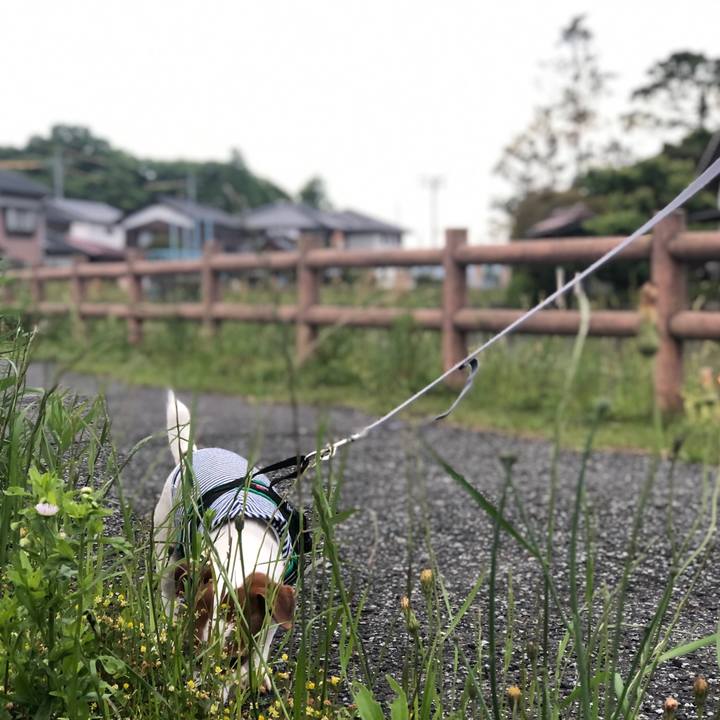 6310d2a0 74b5 4c61 a2cd e558233733ce 1715933284052