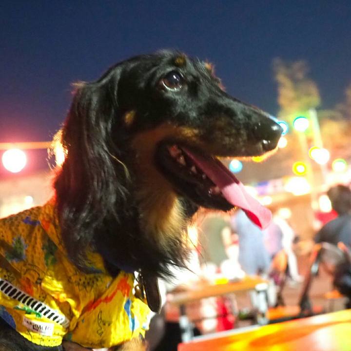 6310fff8 4cb9 4ddb ab0d e50fb55a62ff 1566137670742