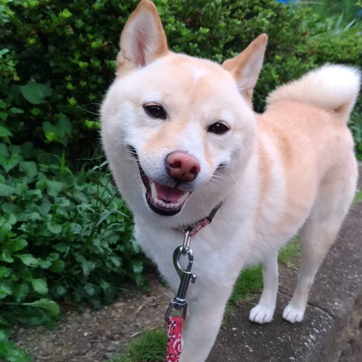 631104ec dd2d 43a3 9c5c aaa5bdb2e746 1563437693842