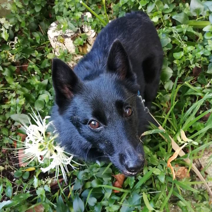 6311104e 23e5 4fa0 8885 42d3b196bc71 1631953359627