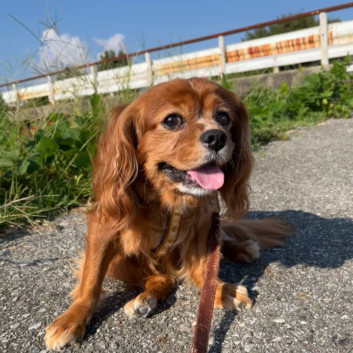 63113280 f6ec 4507 b085 a3ba42d7ded0 1664615066171