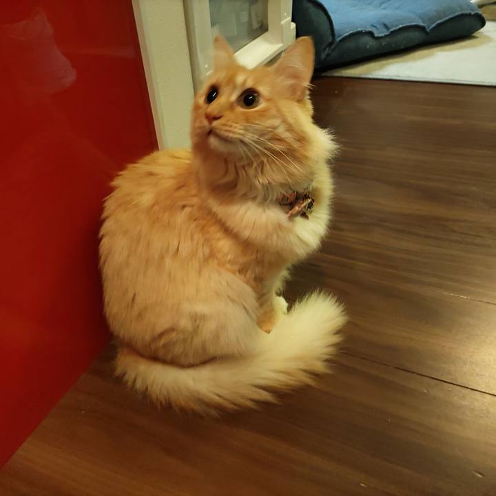 63117ddb 22c7 49f1 a5c7 92e7ffd47e49 1668555385620