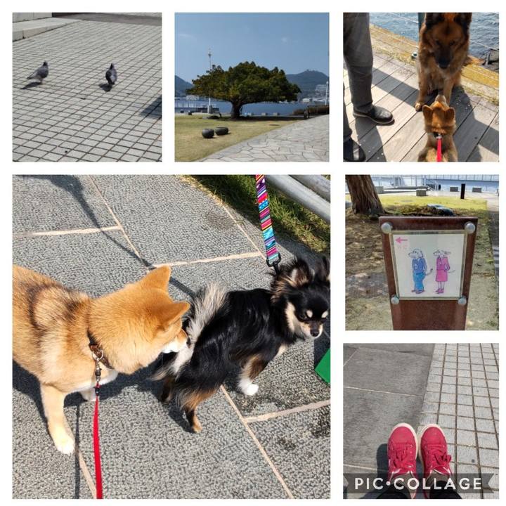 63119e37 53f1 4320 a6e3 6a0e2a4952c0 1648254170076