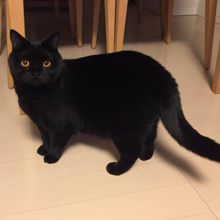 6311a389 9ca2 47f3 9307 35e5276e9818 1521628565964