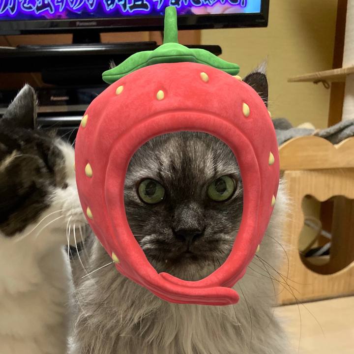 6311bde9 ada3 44c8 804b 04d8fdb251c5 1719796428055