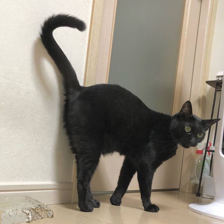 6311dca0 57fe 4a0b b743 cd6e7156e529 1628431012628