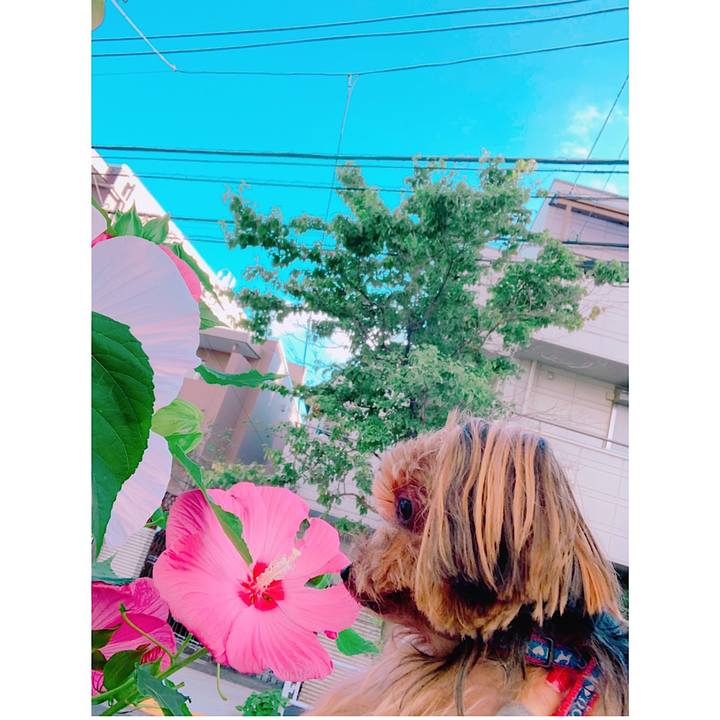 6311e394 e7a8 4fab 8d74 2ea666e4aaf0 1565046153709