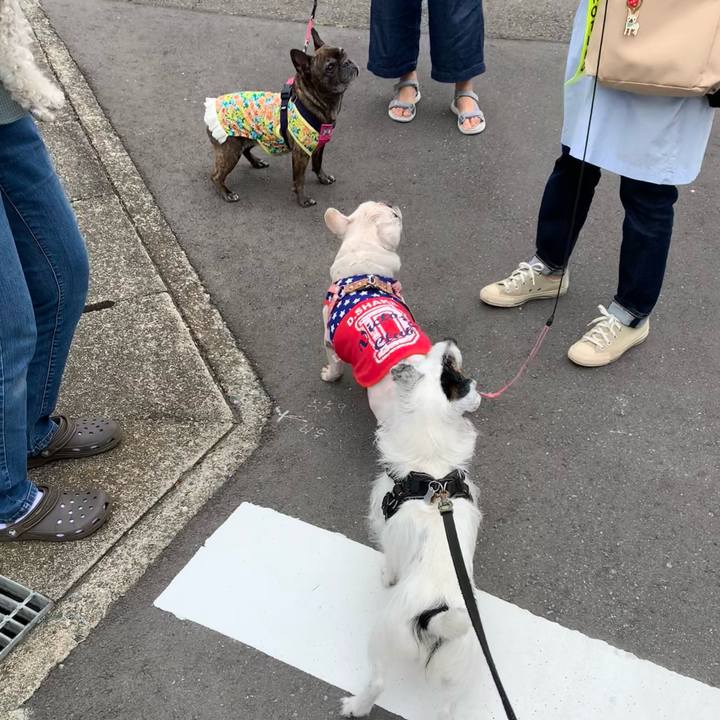 631212cb a07f 4f29 ac17 62120121c949 1748823286357