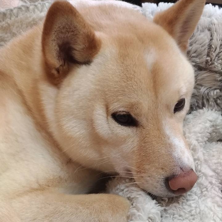 63122618 70bd 4707 abc3 e819981fc81b 1585178140265