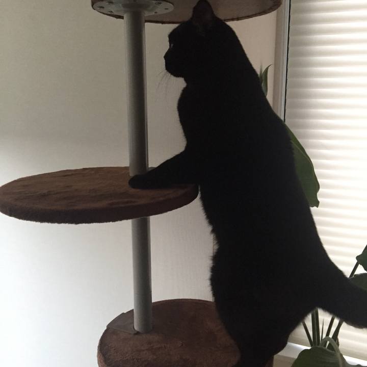 63129146 4884 48cd 881e 1d81f598bbbc 1509867384214